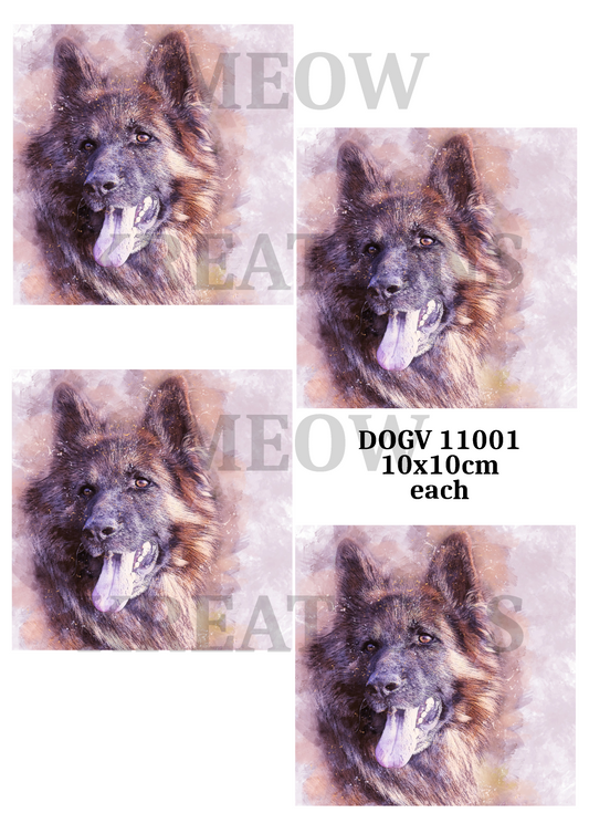 DOGV 11001