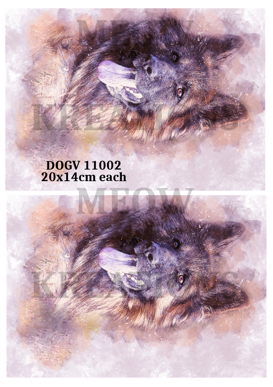 DOGV 11002