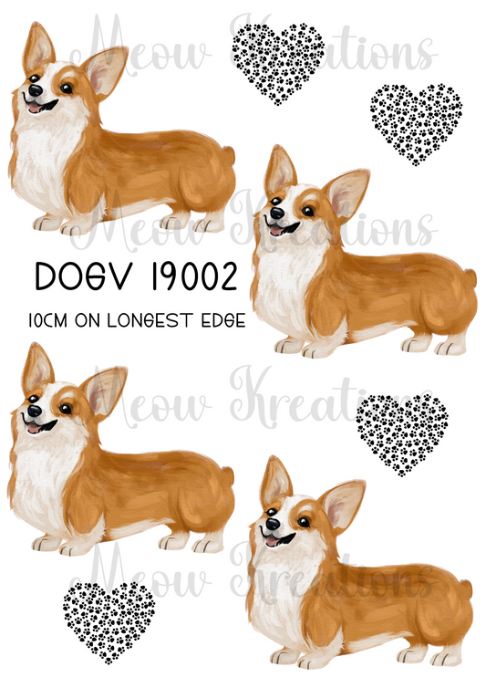 DOGV 19002