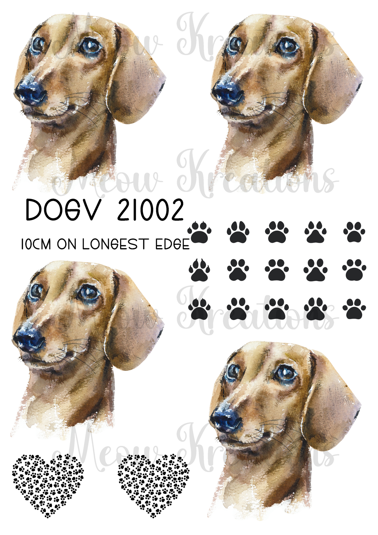 DOGV 21002