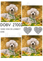 Decoupage Rice Paper – DOGV 27002
