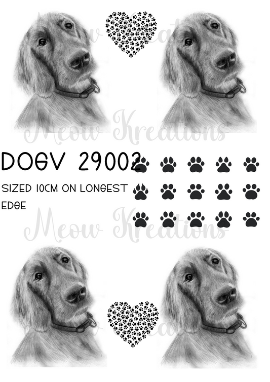 DOGV 29002