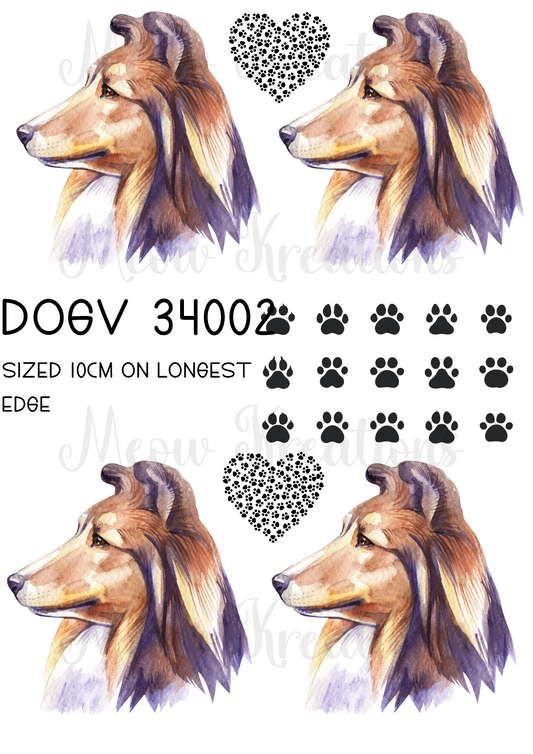 DOGV 34002