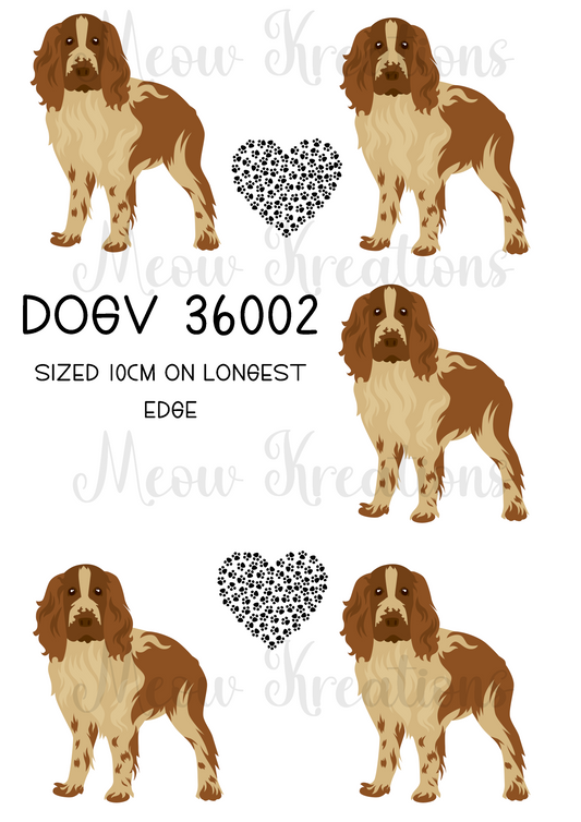 DOGV 36002
