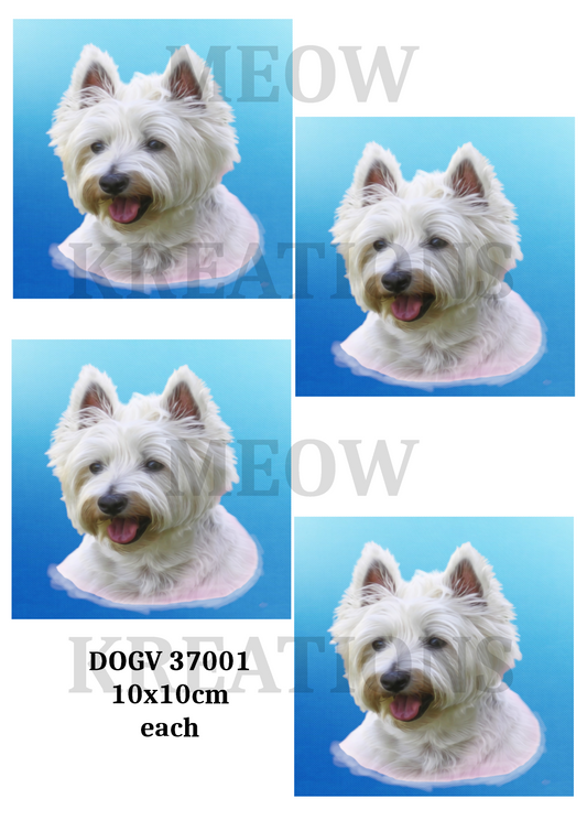 DOGV 37001