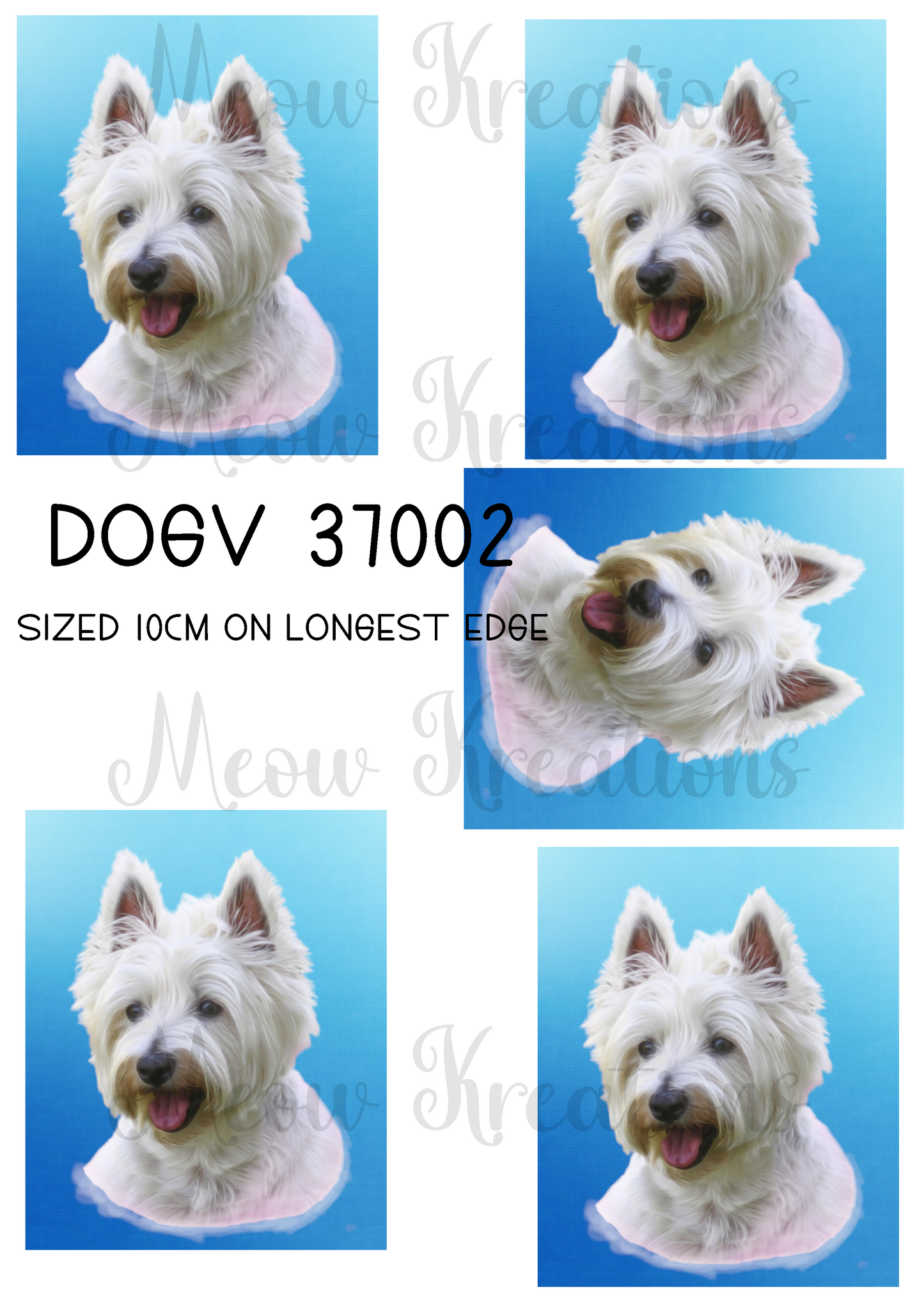 DOGV 37002