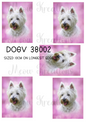 Decoupage Rice Paper – DOGV 38002