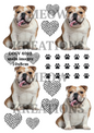 Decoupage Rice Paper – DOGV 4002