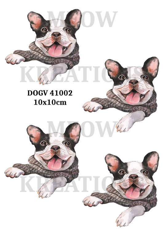 DOGV 41002