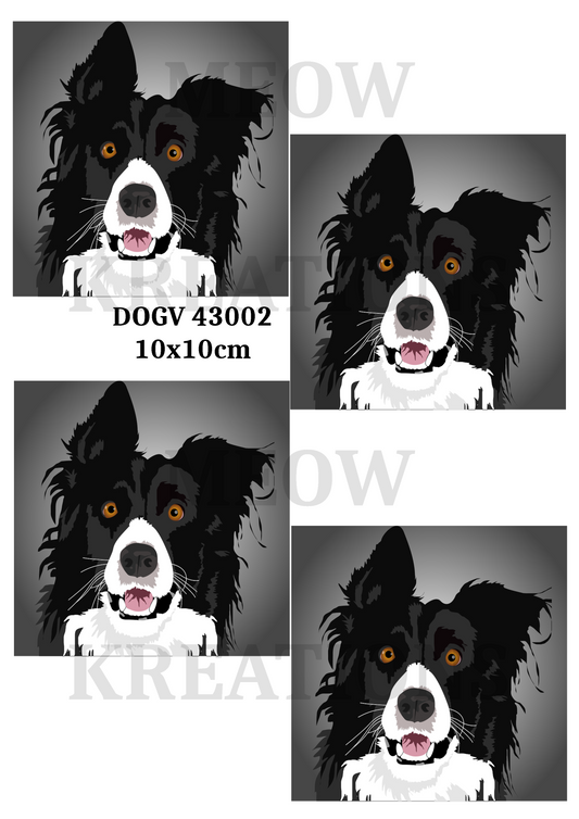 DOGV 43002