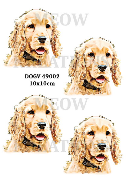 Springer Spaniel Portraits Decoupage Rice Paper - DOGV 49002