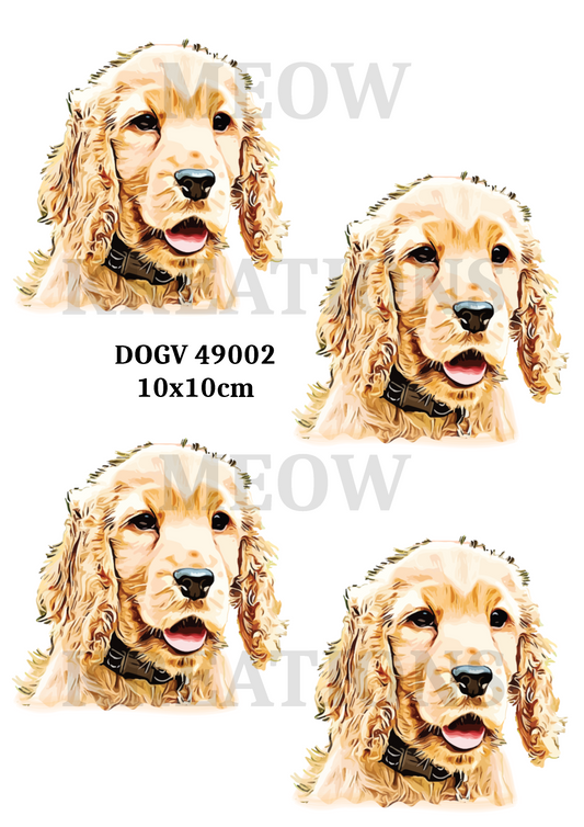 DOGV 49002