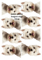 West Highland Terrier Portraits Decoupage Rice Paper - DOGV 68002