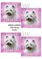 West Highland Terrier Pink Background Decoupage Rice Paper - DOGV 69002