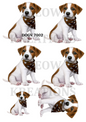 Jack Russell Terrier Bandana Decoupage Rice Paper - DOGV 7002