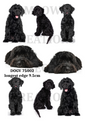 Black Labradoodle Poses Decoupage Rice Paper - DOGV 75002