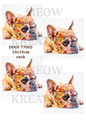 French Bulldog With Colourful Paint Splashes Decoupage Rice Paper - DOGV 77002