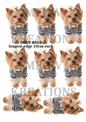 Yorkshire Terrier Dog Decoupage Rice Paper - DOGV 8002
