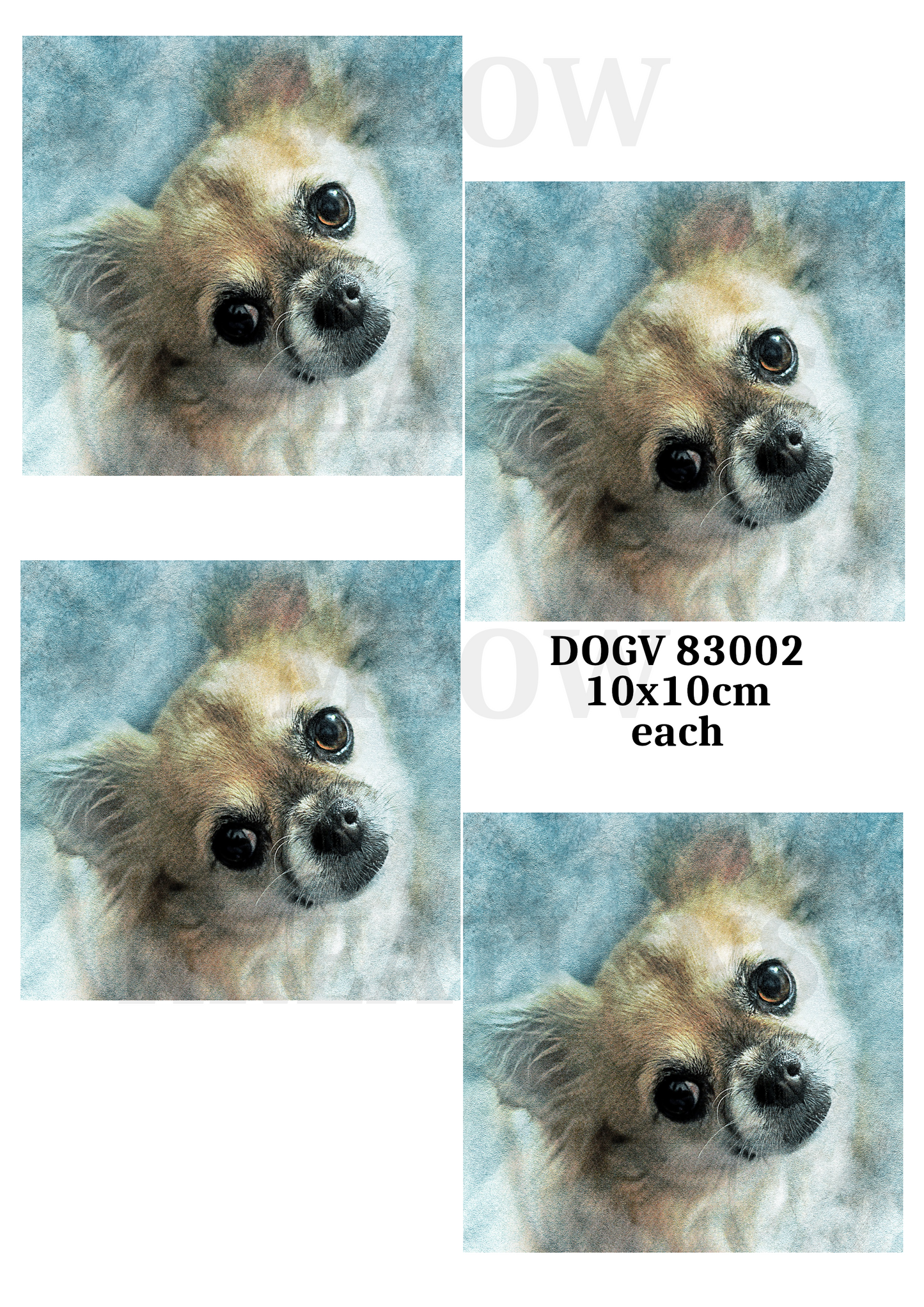 DOGV 83002