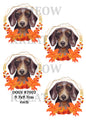 Autumn Dachshund Portrait Decoupage Rice Paper - DOGV 87002