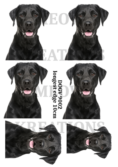 Labrador Decoupage Rice Paper - DOGV 9002