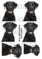 Labrador Decoupage Rice Paper - DOGV 9002