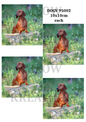 Dachshund Garden Portraits Decoupage Rice Paper - DOGV 95002