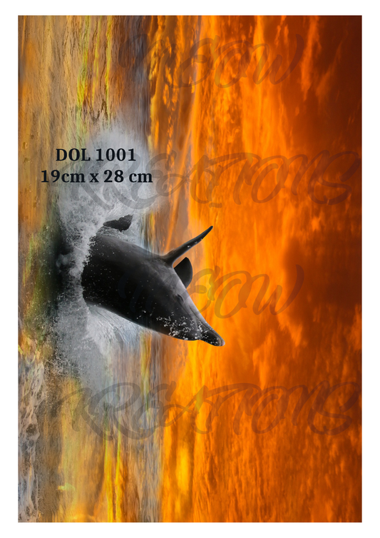 DOL 1001