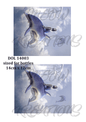Decoupage Rice Paper – DOL 14003