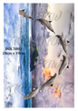 Decoupage Rice Paper – DOL 5001