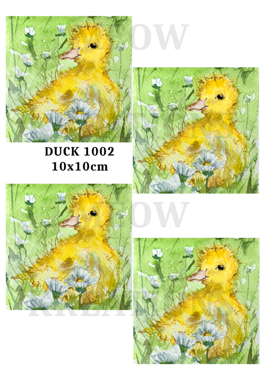 DUCK 1002