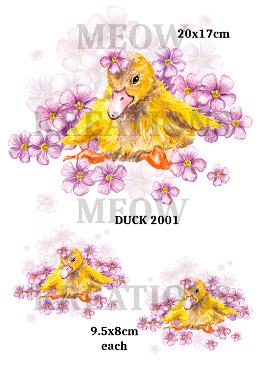 DUCK 2001