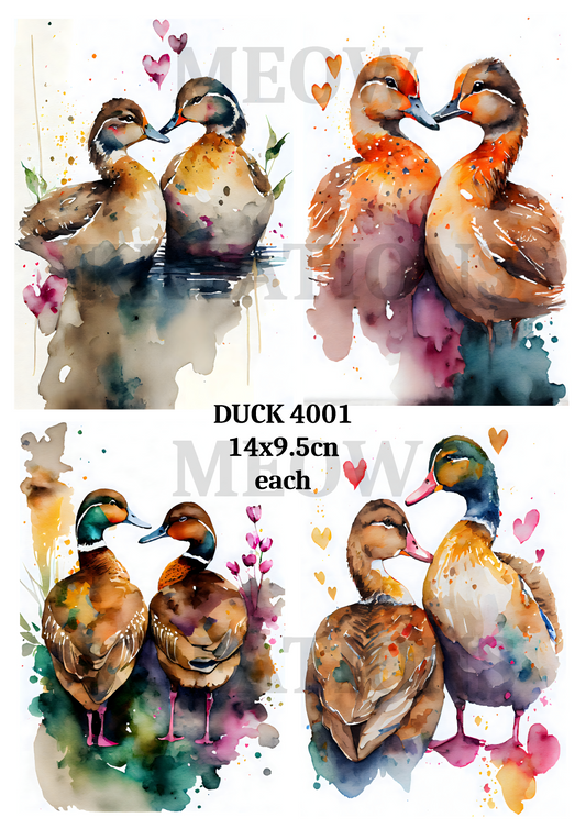 DUCK 4001