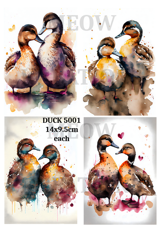 DUCK 5001