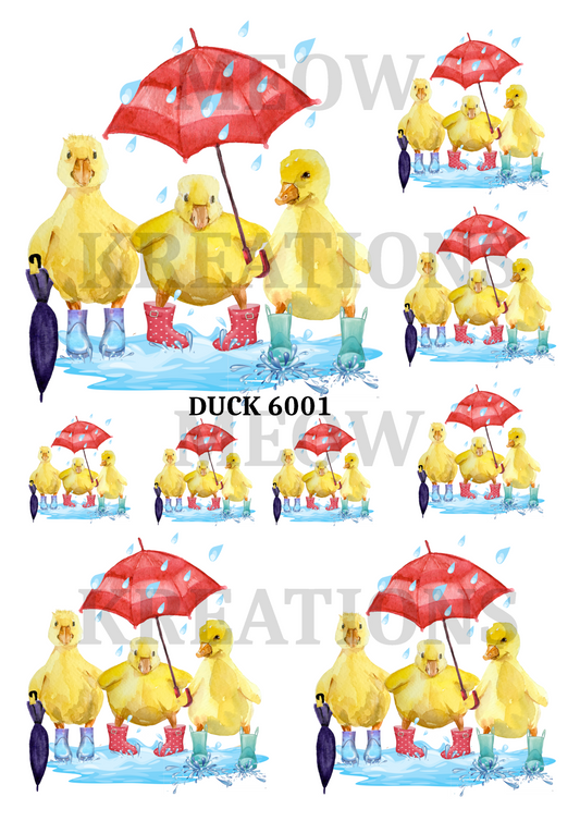 DUCK 6001