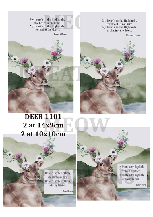 DEER 11001