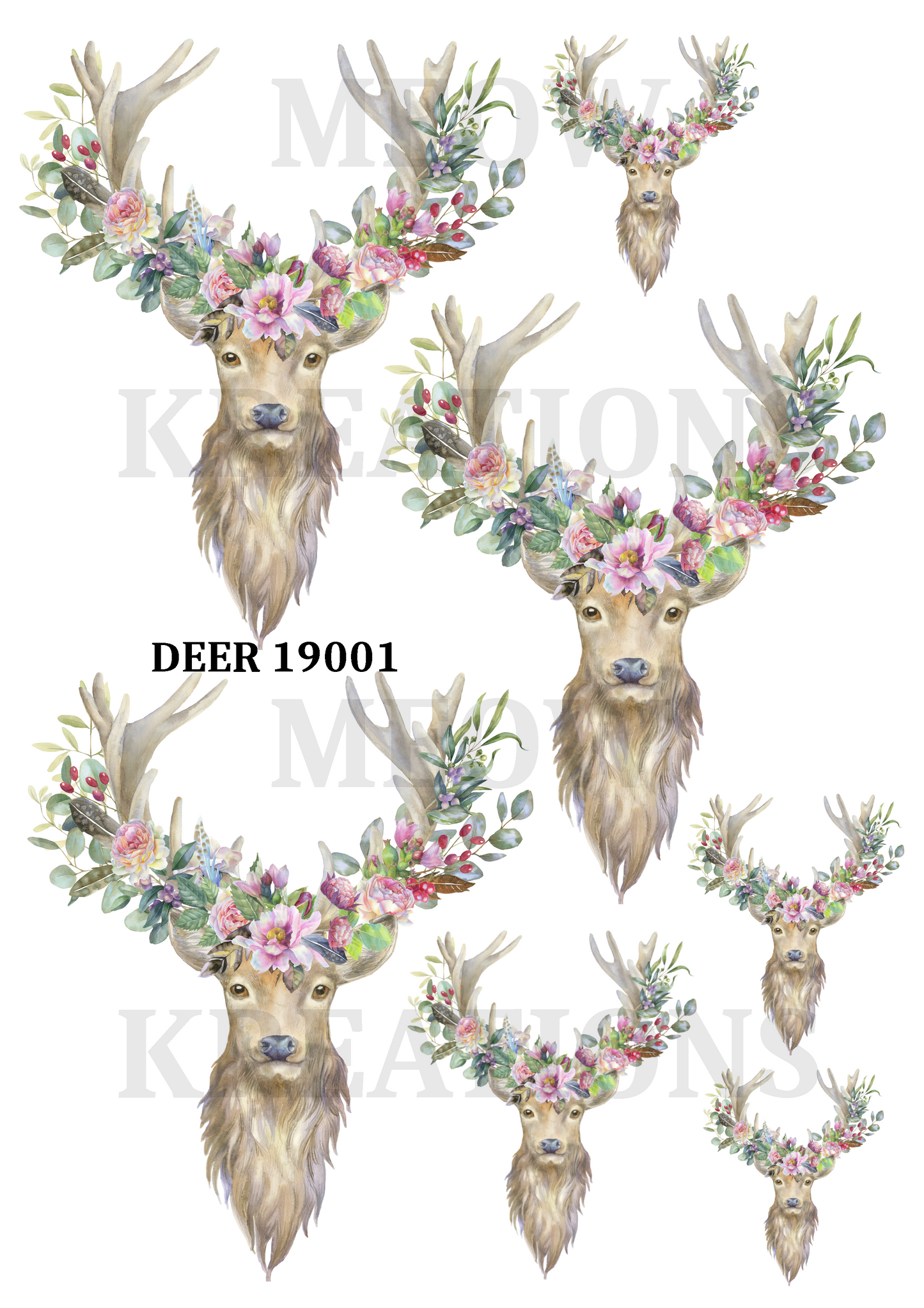 DEER 19001