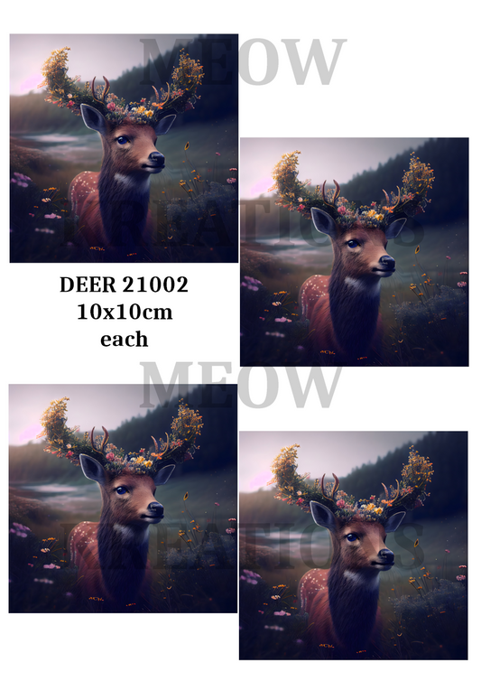 DEER 21002