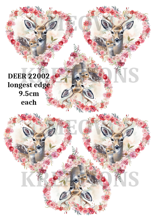 DEER 22002