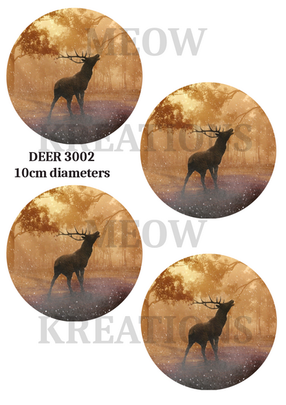 HIRSCH 3002