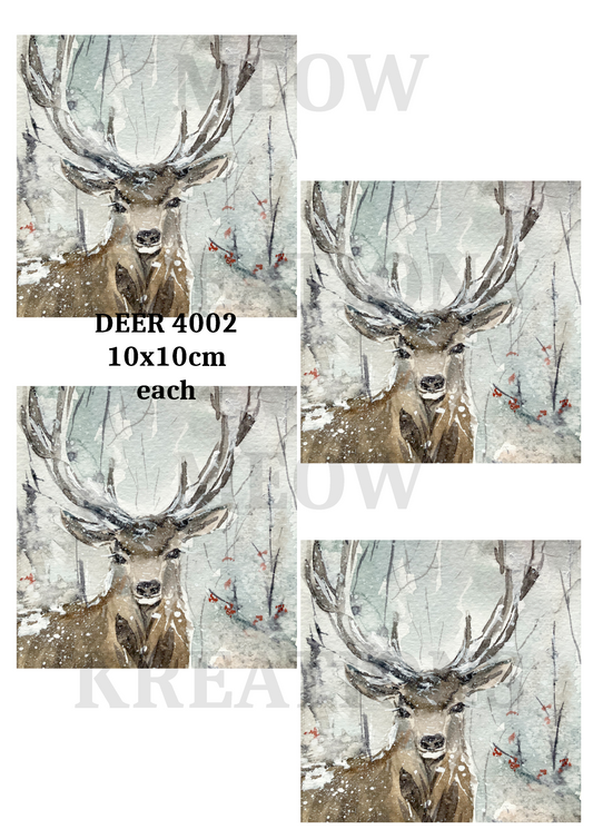 DEER 4002