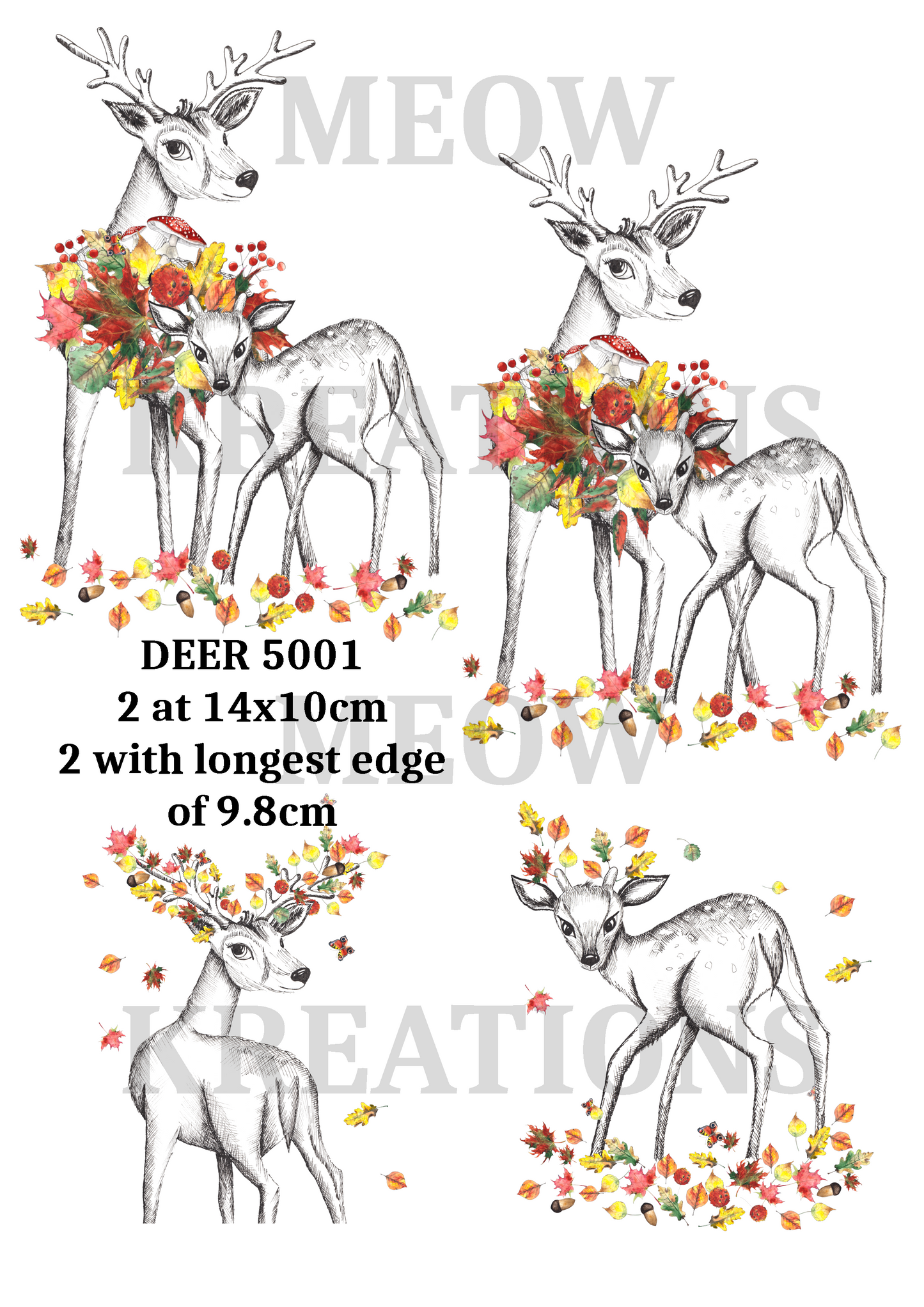 DEER 5001