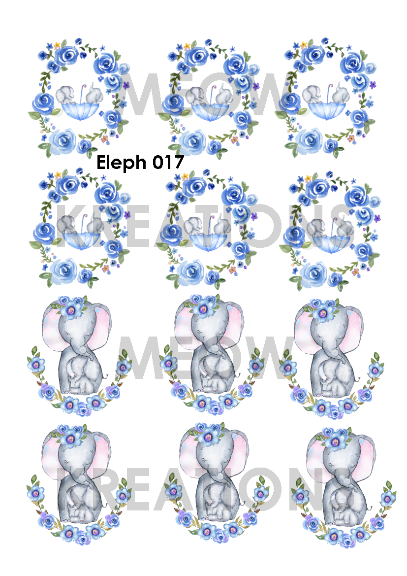 ELEPH 017