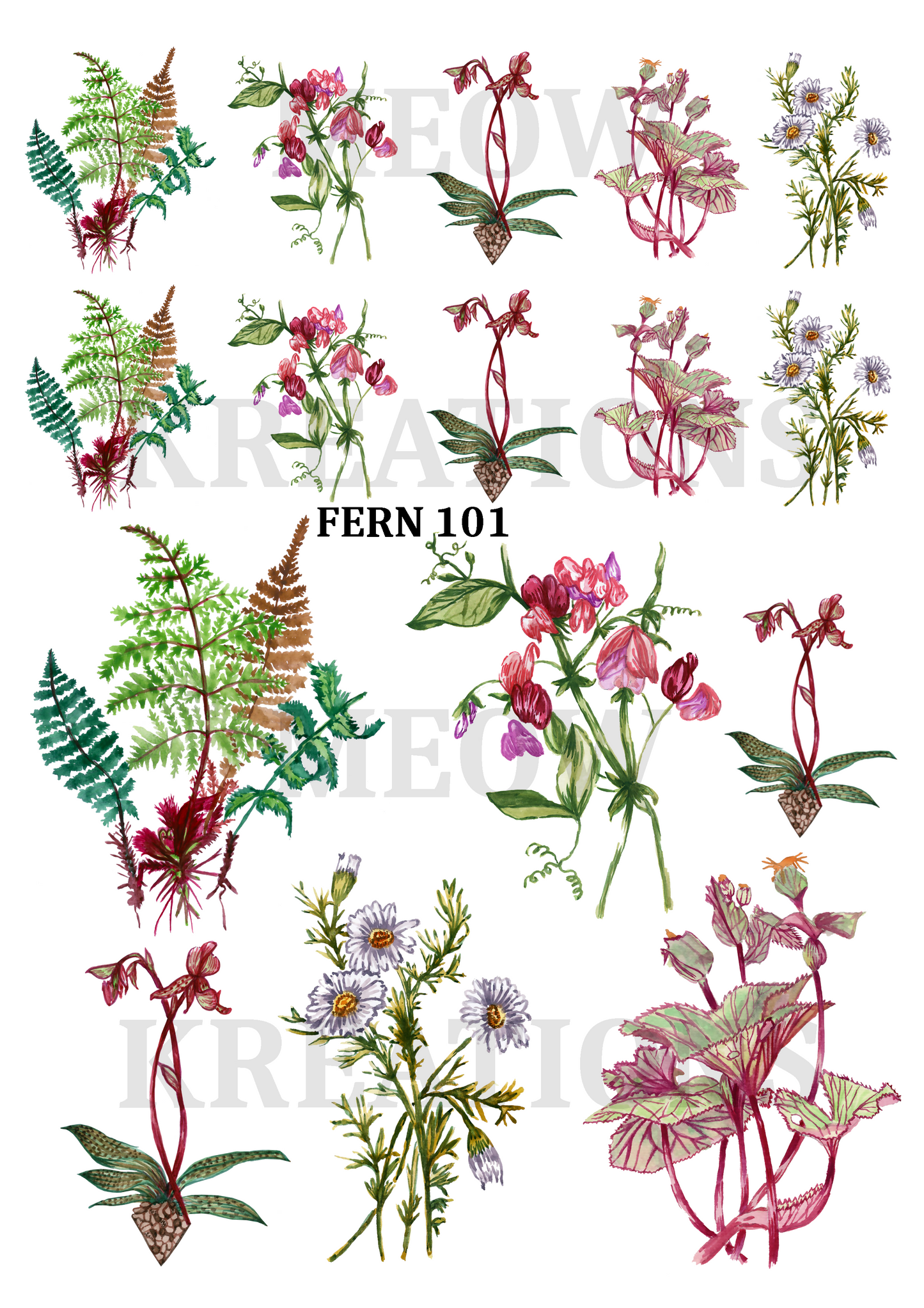 FERN 101