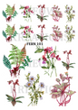 Decoupage Rice Paper – FERN 101