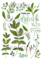 Decoupage Rice Paper – FERN 201