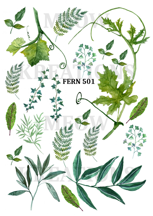 FERN 501