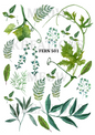 Decoupage Rice Paper – FERN 501