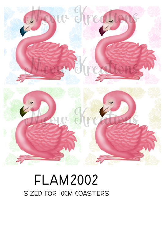 FLAM 2002