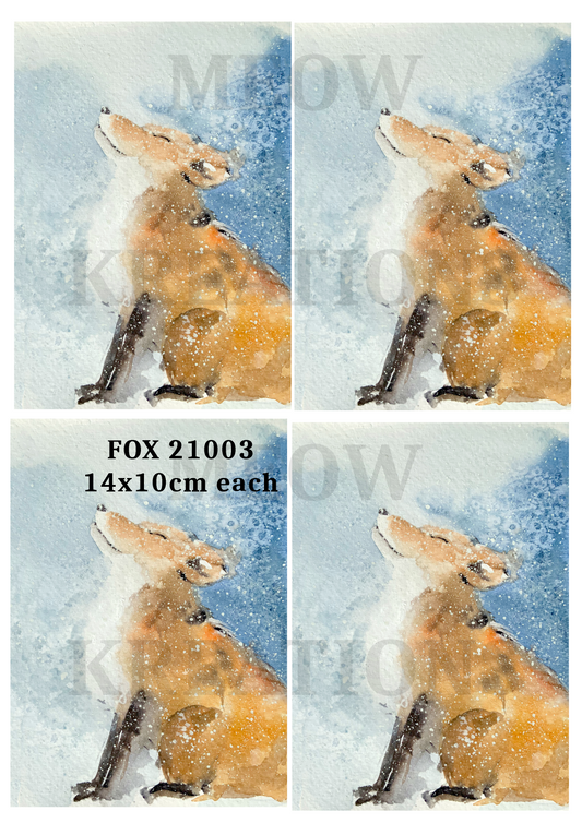 FOX 21003